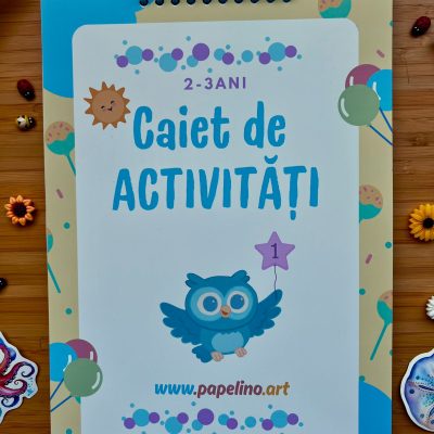 Caiet de activitati nr.1