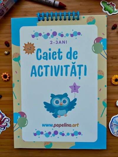 Caiet de activitati nr.1