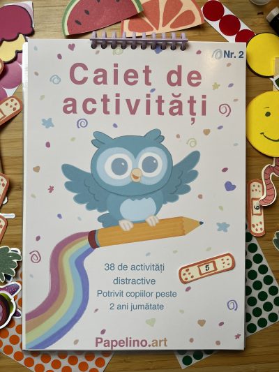 Caiet de activități nr.2