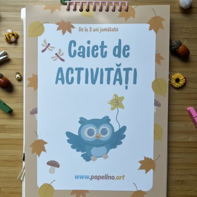 Caiet de activități nr. 3