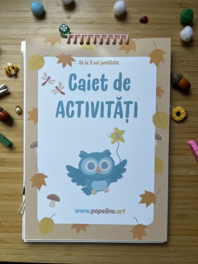 Caiet de activități nr. 3