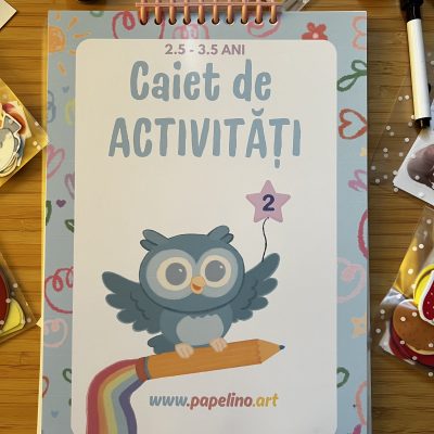 Caiet de activități nr.2