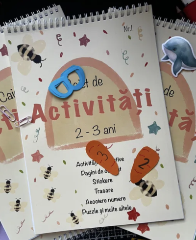 Caiet activități Nr. 1